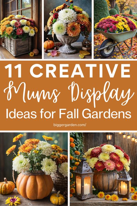 11 Creative Fall Arrangement Ideas to Showcase Mums in Your Garden. Learn how to use autumn planters, fall urns, and fall flower pots to beautifully present your fall mums and chrysanthemums. Explore ideas for fall pots, fall container gardens, and fall chrysanthemum planters to elevate your container gardening flowers. Fall Mum Planter Ideas, Fall Urns, Autumn Planters, Fall Potted Plants, Mum Planters, Fall Urn, Fall Flower Pots, Fall Pots, Cabbage Flowers