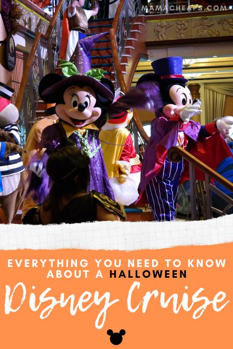 Whether you have booked a Halloween on the High Seas voyage on Disney Cruise Line or you are just thinking about taking the plunge, this post is FULL of great information. From what activities and decorations to expect to how exactly you can go trick or treating on the ship (as well as how much candy to expect) are all outlined in this detailed guide. Lots of information and many easy suggestions! #halloween #dcl #disney #disneycruise #mamacheaps Halloween On The High Seas, Disney Halloween Cruise, Cruise Activities, Disney Dream Cruise, What Is Halloween, Disney Treasures, Halloween Disney, Disney Gif, Halloween Trees