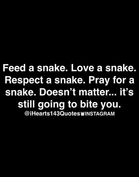 Snake Quotes People, Snake Quotes, Inspirational Quotes Love, Narcissism Quotes, Relationship Quote, Times Quotes, Quotes By Genres, Quotes By Emotions, A Snake