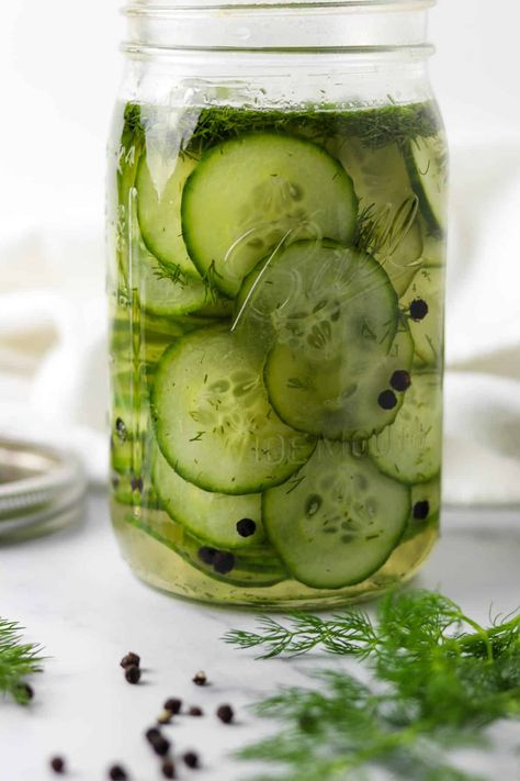 Persian Pickles, Homemade Refrigerator Pickles, Refrigerator Dill Pickles, Refrigerator Pickles Dill, Refrigerator Pickle Recipes, Homemade Pickles Dill, Pickles Recipe, Quick Pickled Cucumbers, Pickle Chips