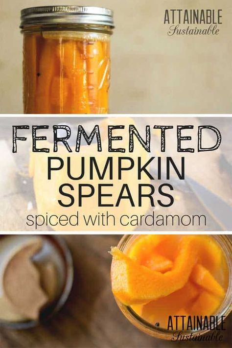 For an unusually flavorful way to add probiotics to your diet, try this healthy pumpkin recipe. Fermenting pumpkin with cardamom seeds for a surprising snack! #fermenting #snack via @Attainable Sustainable Preserve Pumpkin, Fermented Pumpkin, Fermenting Vegetables, Preserving Pumpkins, Best Probiotic Foods, Attainable Sustainable, Fermenting Foods, Lacto Fermented, Preserving Recipes