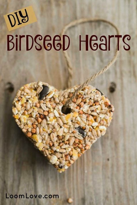 Bird Seed Wedding Favors, Easy Bird Feeders, Bird Seed Crafts, Toucan Craft, Bird Seed Favors, Seed Craft, Senior Crafts, Nature Camp, Springtime Crafts