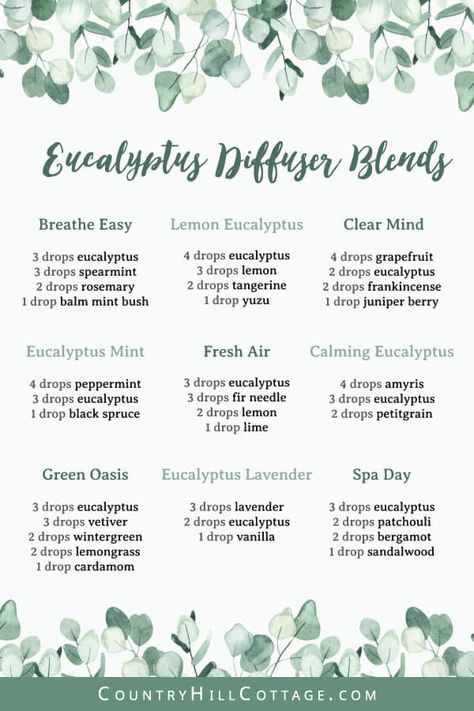 Lavender Peppermint Eucalyptus Blend, Eucalyptus Diffuser Blends, Lavender Diffuser, Eucalyptus And Lavender, Oils For Relaxation, Mint Essential Oil, Essential Oil Diffuser Blends Recipes, Essential Oils Guide, Aromatherapy Benefits