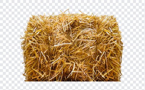 Straw Bale PNG Image Rock, Straw Bales, Straw Bale, Graphic Elements, Graphic Design Projects, Free Vectors, Graphic Designers, Png Download, Free Png