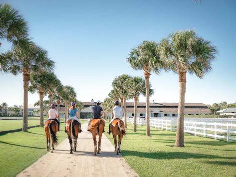 polo fields equestrian centre vero beach floridaa Polo Field, Sporting Club, Polo Team, Equestrian Center, Horse Things, Waterfront Property, Vero Beach, South American, Social Events