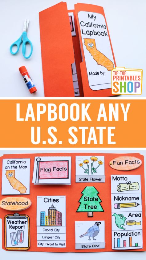 State Project 3rd Grade, First Grade Lapbooks, 2nd Grade Lapbooks, Regions Of The United States Projects, Homeschool Country Unit Study, My State Project, State Brochure Project, 50 States Project, Us Geography Activities