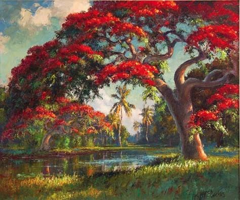 AE Backus Flamboyan Tree Puerto Rico Painting, Royal Poinciana Paintings, Highway Men Paintings, Florida Highwaymen Paintings, Highwaymen Paintings, Florida Oil Painting, The Highwaymen, Highway Men, Crayons Pastel