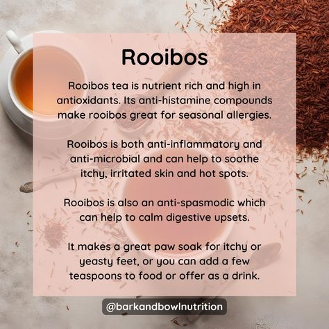 Have you ever thought about sharing a cup of herbal tea with your dog? Herbal teas like chamomile, calendula, rooibos and nettle leaf can be really effective in soothing itchy, sore skin. Another benefit is that due to their anti-inflammatory nature they can also help with stomach upsets too! I often share my herbal tea with Hugo, rooibos is our current favourite! -- Do you have an itchy dog? Book a consultation at barkandbowlnutrition.com/consultations -- #HerbalTeas #HerbalTeasForDo... Rooibos Tea Benefits, Tea Dog, Herbal Tea Benefits, Itchy Dog, Witch Things, Nettle Leaf, Herbal Recipes, Rooibos Tea, Seasonal Allergies