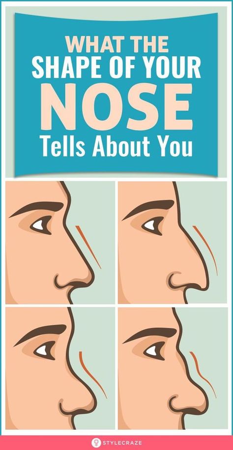 What does the shape of your nose head reveal about your personality? Nose Types Chart, Nose Types Shape, Types Of Nose Shape, Best Nose Shape, Face Reading Psychology, Nose Shapes Chart, Face Reading Personality, Nose Exercise Shape, Types Of Eyes Shapes