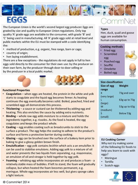 Eggs Food Technology Study Notes, Culinary Notes, Study Layout, Food Safety Posters, Food Safety And Sanitation, Microbiology Study, Food Studies, Food Lessons, Culinary Lessons