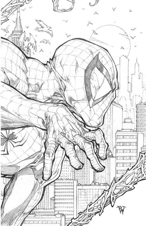 Spider-Man by Paolo Pantalena: Paolo Pantalena, Comic Art Sketch, The Amazing Spiderman, Otto Schmidt, Spiderman Drawing, Ultimate Spider Man, Marvel Drawings, 흑백 그림, Comic Drawing