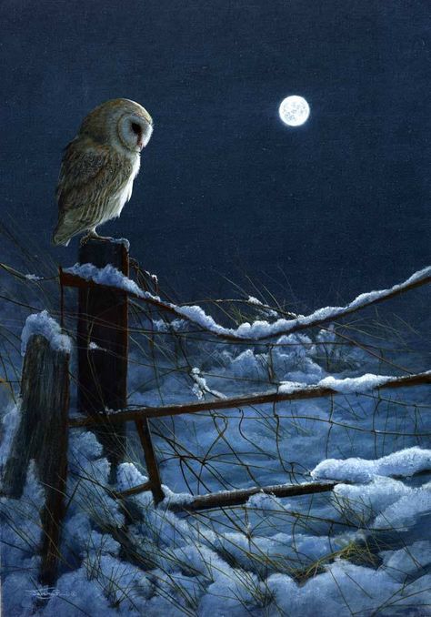 Owl Pictures, Beautiful Owl, Wildlife Artists, Owl Painting, Owl Bird, Snowy Owl, Winter Scenery, Night Owl, Owl Art