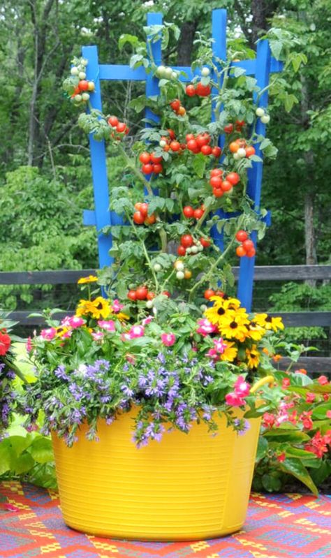 Container Vegetable Garden, Vegetable Garden Design Ideas, Gemüseanbau In Kübeln, Vertical Vegetable Gardens, Growing Tomatoes In Containers, Vegetable Garden Tips, Container Vegetables, Vertical Garden Diy, Backyard Vegetable Gardens