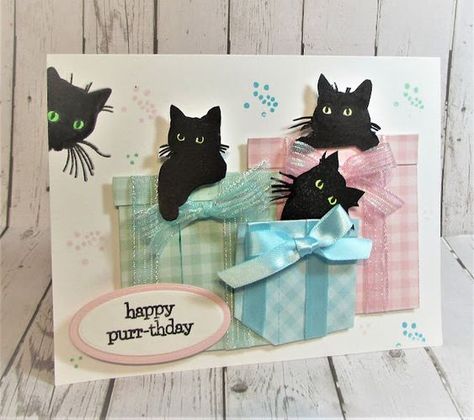 Crazy Cats Cards, Cat Cards Handmade, Cat Birthday Card, Creative Birthday, Dog Cards, Fold Cards, Embossed Cards, Cat Cards, Fancy Fold Cards