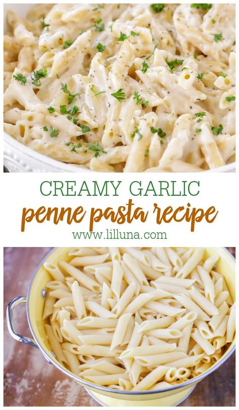 Super simple and delicious Creamy Garlic Penne Pasta recipe packed with flavor. This dish is perfect by itself or you can add chicken too! #creamygarlicpennepasta #pennepasta #garlicpasta #creamygarlicpasta #penne Pena Pasta Recipes, Easy Penne Pasta Recipes Few Ingredients, Easy Recipes Dinner Quick Simple, Garlic Penne Pasta, Creamy Garlic Penne Pasta, Penne Alfredo, Penne Pasta Recipe, White Pasta Sauce Recipe, White Sauce Recipe