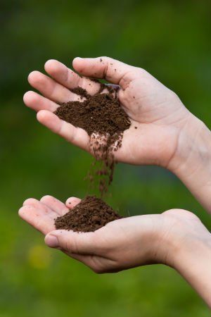 Loamy Soil, Tree Garden Design, Flea Market Gardening, Bottle Trees, Upcycle Garden, Garden Plots, Bird Bath Garden, Natural Fertilizer, Garden Junk