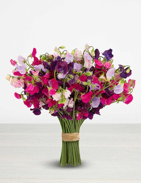 Sweet Pea Wedding Bouquet, Sweet Pea Wedding Flowers, Sweet Pea Bouquet, Blue Wedding Centerpieces, Small Backyard Wedding, Sweet Pea Flowers, Diy Projects For Beginners, Flower Company, Natural Flowers