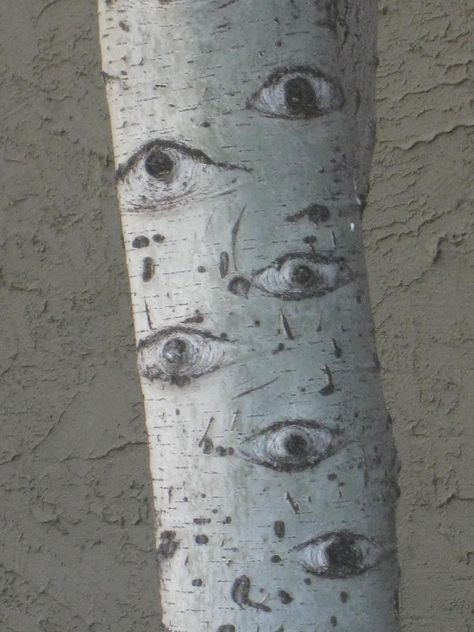 The Eyes have it. Aspen tree outside a Colorado restaurant. Aspen Tree Aesthetic, Eye Tree Drawing, Birch Tree Eyes, Birch Tree Aesthetic, Tree Eye Tattoo, Aspen Tattoo, Aspen Tree Tattoo, Tree With Eyes, Aspen Trees Tattoo