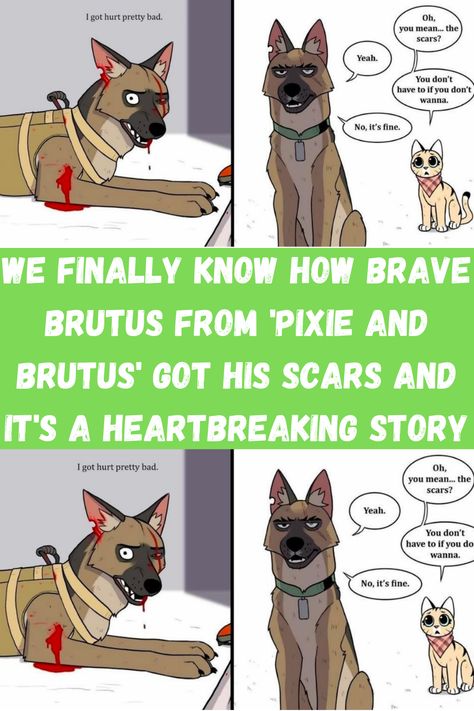 https://defused.com/how-brutus-got-his-scars/?utm_source=ch5&utm_medium=viralagain Brutus And Pixie, Pixie And Brutus, Wholesome Pictures, Dog People, Pinterest Photos, Got Him, Onions, Instagram Account, Animal Pictures