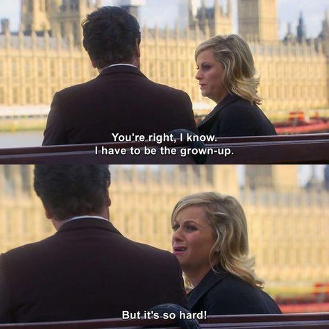 Parks And Rec Ron, Leslie Knope Quotes, Parks And Recs, Michael Scott Quotes, Dry Sense Of Humor, Parks And Rec, Leslie Knope, Nick Miller, Education Humor