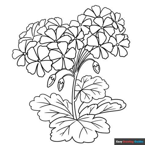 Free Geranium Coloring Page for Kids Geranium Color, Coloring Pictures For Kids, Easy Drawing Guides, Free Printable Coloring Sheets, Drawing Guides, Painted Clothing, Spring Coloring Pages, Pattern Coloring Pages, Kids Print