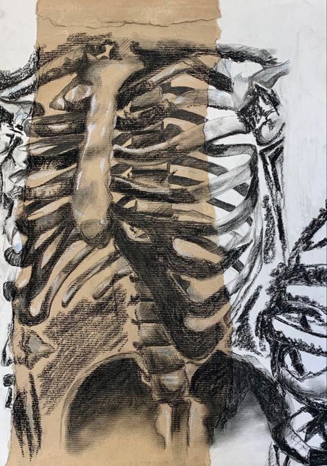 Charcoal and chalk observational study of skeleton/ human form Human Form Artists, Observational Studies Gcse Art, Human Forms Art, Skeleton Charcoal Drawing, Abstract Skeleton Art, Charcoal And Chalk Drawings, Human Decay Art, Growth And Decay Art Gcse, Charcoal Skeleton