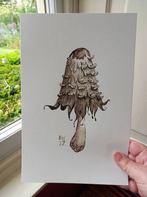 Shaggy Ink Cap Mushroom, Ink Mushroom, Shaggy Ink Cap, Ink Cap Mushroom, How To Make Ink, Cap Drawing, Mushroom Painting, Lincolnshire England, Mushroom Tattoos