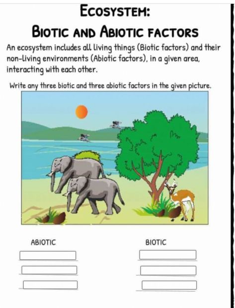 Ecosystem Worksheets, Factors Worksheet, Biotic And Abiotic Factors, Biotic Factors, Biotic And Abiotic, Abiotic Factors, Free Science Worksheets, Relationship Worksheets, Biology Worksheet