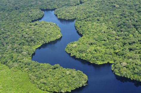 ¿Cuál es el río más largo del mundo? # Los ríos son corrientes de agua que fluyen con continuidad, alimentando a una gran variedad de animales, tanto acuáticos como terrestres, así como a las plantas. Son de vital importancia para los bosques, las selvas ... » Rainforest Facts, Tread Lightly, Amazon River, Brazil Travel, Amazon Rainforest, Tropical Rainforest, Aerial View, Tourist Attraction, Natural Wonders