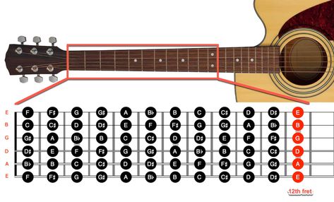 Fast recall of any note on the guitar fretboard is an essential skill for the guitarist. In this guide we show you how to do memorize it. Fret Board Notes, Notes On A Guitar, Guitar Guide For Beginners, Guitar Fret Board Notes, All Notes On Guitar, Acoustic Guitar Notes For Beginners, How To Learn Guitar Chords, Guitar Exercises For Beginners, Guitar Fretboard Notes