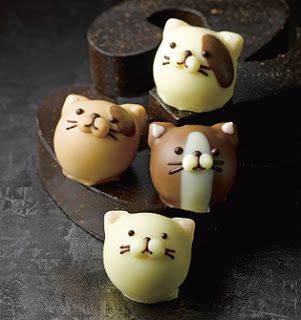 Chocolate Cats, Chocolate Art, Cat Cake, Food Style, Japanese Sweets, Kawaii Food, Cute Desserts, School Project, Diy Stuff