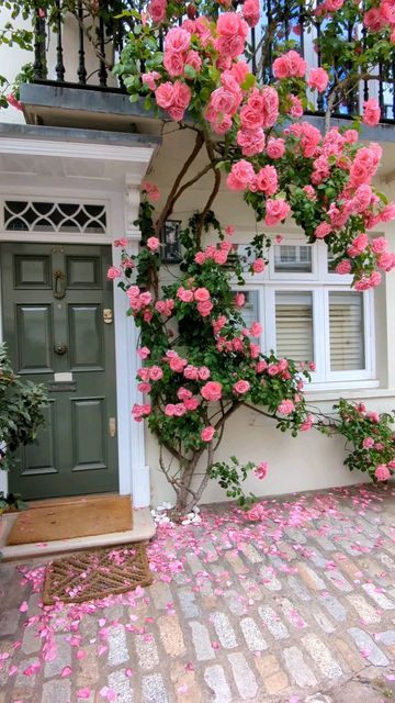 Beautiful Gardens Magical, Small Front Garden Ideas, Landscaping With Roses, Small Front Gardens, Beautiful Home Gardens, Climbing Flowers, Flower House, Rose Plant, Blossom Garden