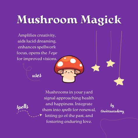 Mushroom Magical Properties, Mushroom Meaning Witchcraft, Mushroom Spiritual Meaning, Mushroom Spells, Mushrooms In Witchcraft, Mushroom Witchcraft, Mushroom Meaning, Cauldron Magic, Hearth Witch