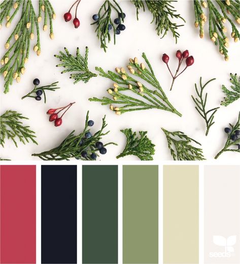 Boughs Of Holly, Seeds Color, Christmas Color Palette, Winter Color Palette, Color Schemes Colour Palettes, Color Season, Christmas Color, Colour Ideas, Paint Colour