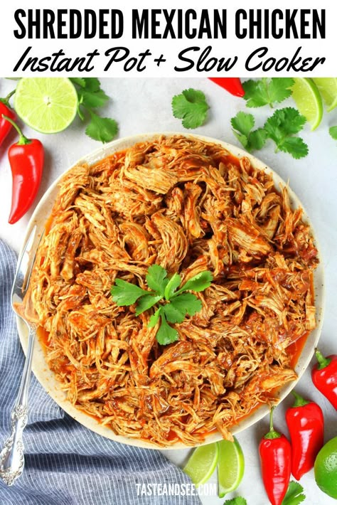 Mexican Pulled Chicken, Slow Cooker Kip, Pollo Mechado, Chicken Panini Recipes, Panini Recipes Chicken, Chicken Recipes Indian, Slow Cooker Mexican Chicken, Slow Cooker Salsa Chicken, Smoked Chicken Breast