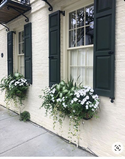 Gorgeous Spring and Summer Window Box Ideas that Will Stop You in Your Tracks • Rachel Box Planter Ideas, Window Box Ideas, Window Box Plants, Summer Window, Window Box Flowers, Summer Front Porches, Window Planters, Brick Garden, Spring Window