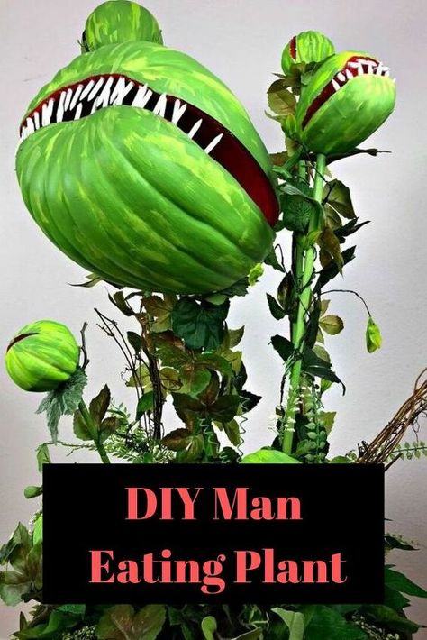 Halloween is right around the corner. Decorate your home for the holiday with this spooky man-eating plant for Halloween. Inspired by 'Little Shop of Horrors', your trick-or-treaters will be spooked. #halloween #diy #fall #diyfall #spooky #halloween #allhallowseve #halloweendecor #budget Simple Outdoor Halloween Decor, Blood Candles, Man Eating Plant, Halloween Diy Outdoor, Minimalist Halloween, Diy Planter Box, Halloween Decorations Diy Outdoor, Little Shop Of Horrors, Halloween Outdoor