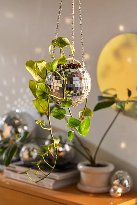 Halloween Chic, Decoration Plante, Deco Originale, Unique Planter, Self Watering Planter, Plant Shelves, Plant Mom, Disco Ball, Hanging Planters