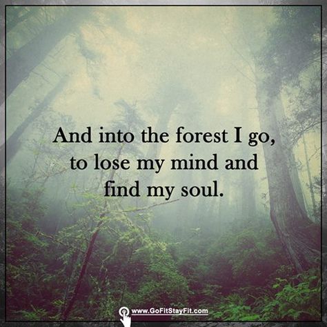 Into the forest i go, to lose my mind and find my soul. <gofitstayfit.com> Forest Quotes, Into The Forest I Go, All Who Wander, Into The Forest, Nature Quotes, Lose My Mind, A Quote, Poetry Quotes, Positive Thinking