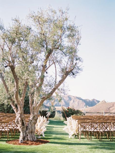 Cielo Farms, Malibu Wedding, Beautiful Love Stories, Los Angeles Wedding, Fortune Cookie, Wedding Los Angeles, Designer Home, Floral Designer, Beautiful Backdrops