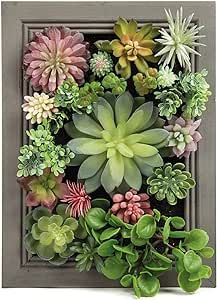 You create your own 3D Succulent Wall art with this Amazon kit! Wall Hanging Plants, Succulent Wall Planter, Fake Hanging Plants, Fake Flower Arrangements, Bathroom Wall Decor Art, Artificial Hanging Plants, Artificial Plant Wall, Succulent Wall Art, Hanging Plant Wall