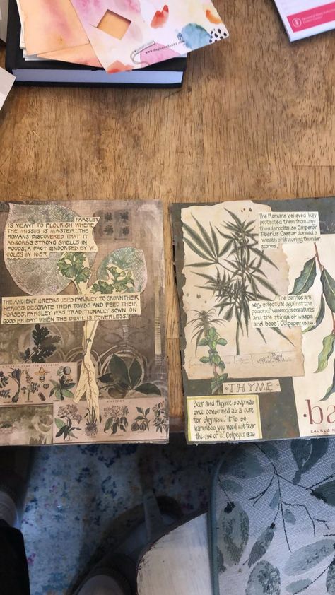 Herbarium Book Ideas, Herbarium File, Herbarium Ideas, Herbarium Aesthetic, Journaling Themes, Aesthetics Notes, Biology Drawing, Plant Press, Creative Book Cover Designs