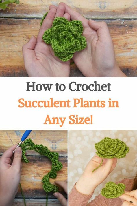 Succulent Crochet Free Pattern, Crochet Succulents Free Pattern, Yarn Plants, Folklore Crochet, Plants Crochet, Plant Crochet, Crochet Gift Ideas, Crochet Succulent, Easy Bag