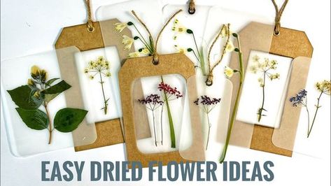 Laminate Dried Flowers, Laminating Dried Flowers, Flower Tags Ideas, Handmade Cards With Dried Flowers, Laminator Crafts Ideas, Laminator Projects Crafts, Laminating Flowers, Dried Flower Cards Handmade, Lamination Crafts