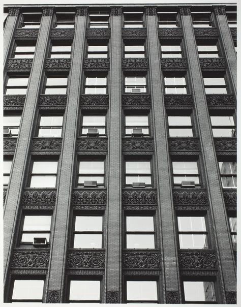 https://www.artic.edu/artworks/49117/untitled-wainwright-building-fenestration Wainwright Building, Louis Sullivan, Southern Illinois University, Line Photography, Study Photography, Chicago Architecture, Art Institute Of Chicago, Nature Inspiration, Building