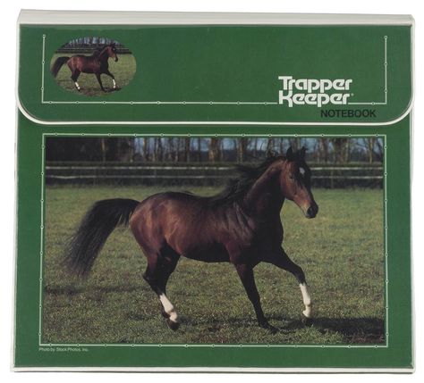 Which Trapper Keeper are you? Take this personality quiz High School Humor, Trapper Keeper, Red Sports Car, Neon Jungle, Back In My Day, Homeschool High School, Personality Quiz, School Humor, Fourth Grade