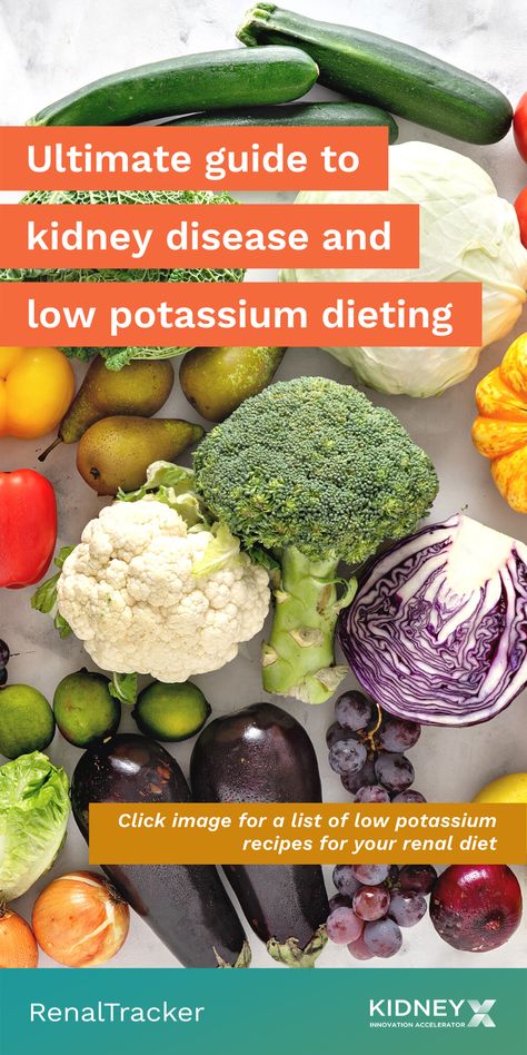 No Potassium Diet, Low Potassium Foods, Kidney Friendly Recipes, Potassium Recipes, Kidney Foods, Low Purine Diet, Kidney Healthy Foods, Food For Kidney Health, Low Potassium Recipes