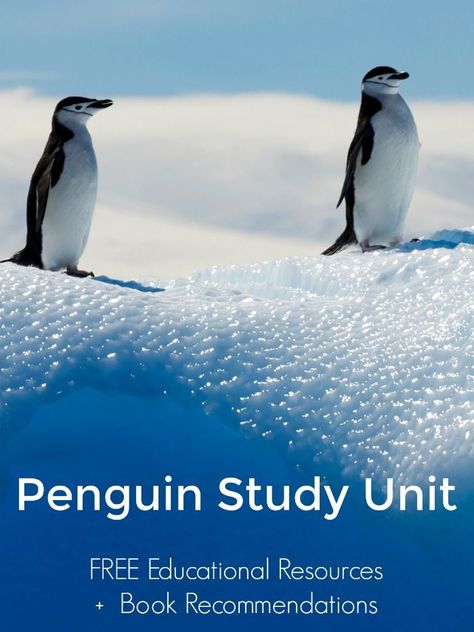 Penguin Unit Study | Mommy Evolution Penguin Unit, Book Dedication, Dedication Ideas, Winter Unit, Math Activities For Kids, Winter Activities For Kids, Curriculum Planning, Study Resources, Science Activities For Kids