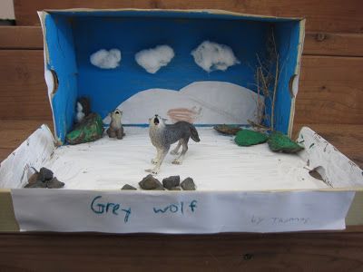 Wolf Diorama, Arctic Region, Diorama Ideas, Arctic Wolf, Family Friend, Face Painting, Image Search, Decorative Tray, Crafts For Kids