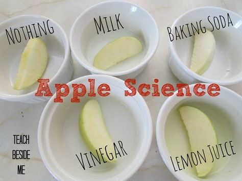 apple science experiment Middle School Science Fair Projects, Apple Science Experiments, Easy Science Fair Projects, Apple Science, Science Fair Experiments, Vetenskapliga Experiment, Science Experience, 4th Grade Science, Kid Experiments